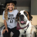 Armtheanimals