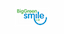 biggreensmile.nl
