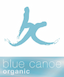 bluecanoe.com