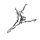 Capezio