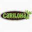 cariloha.com