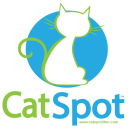 Catspotlitter