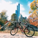 Centralparksightseeing.com