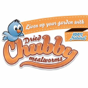 Chubbymealworms