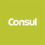 consul.com.br