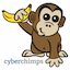 cyberchimps.com