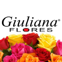 Giulianaflores