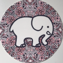 Ivoryella