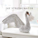 Jaystrongwater