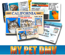 Mypetdmv