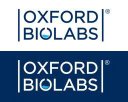Oxfordbiolabs
