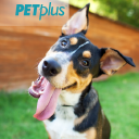 Petplus.com