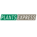Plantsexpress