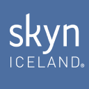 Skyniceland.com