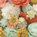 Solawoodflowers