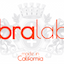 thebralab.com