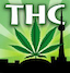 torontohemp.com