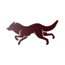 Wolfandshepherd