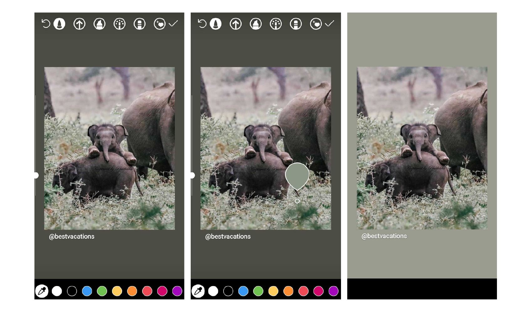 How To Change The Instagram Story Background Color